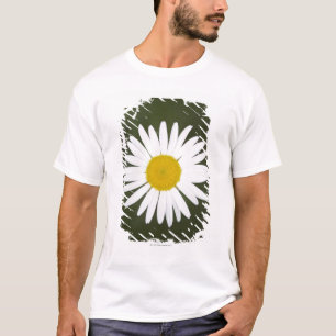 Daisy close up. T-Shirt