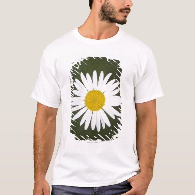 Daisy close up. T-Shirt (Front)
