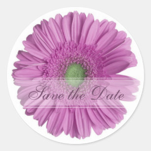 Daisy Custom Floral Sticker