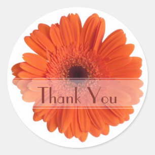 Daisy Custom Floral Sticker