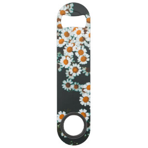 Daisy Daisies Floral