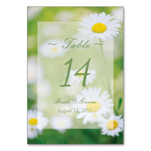 Daisy Daisies Flower Floral Summer Table Number