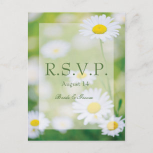 Daisy Daisies Flower Floral Summer Wedding RSVP Invitation Postcard