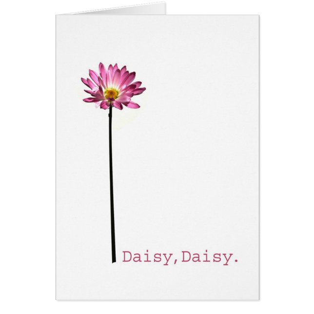 Daisy,Daisy (Front)