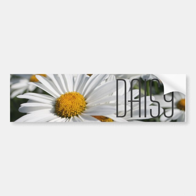 Daisy Daisy Bumper Sticker (Front)