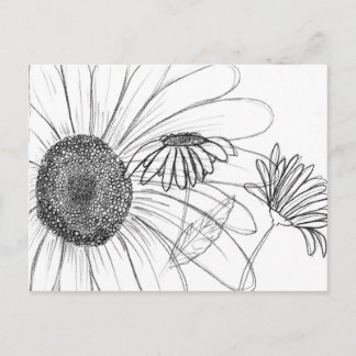 Daisy, Daisy Postcard