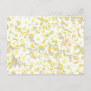 Daisy Daisy Postcard