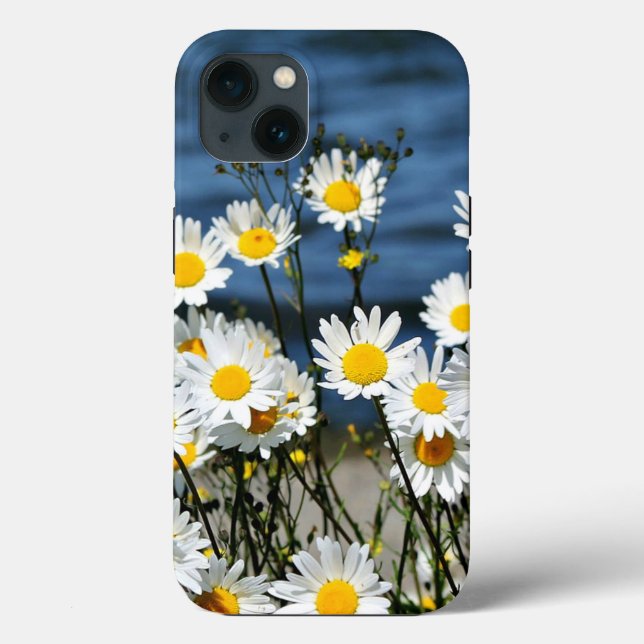 Daisy-Daisy, pretty wildflower daisies iPhone Case (Back)