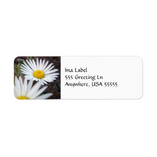 Daisy Day Label Return Address Label