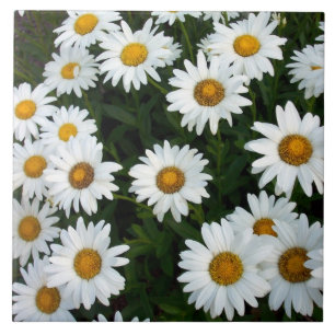 Daisy Decorative Tile