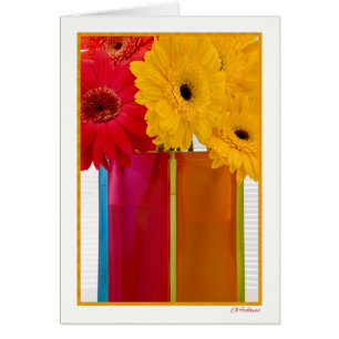 Daisy delight VII