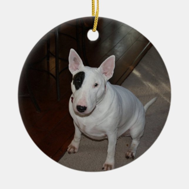 Daisy Dog Christmas Ornament (Front)