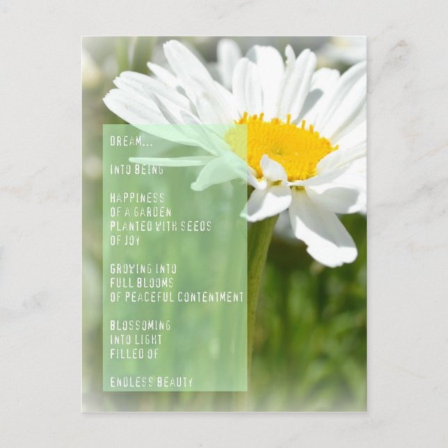 Daisy Dream Poem Inspirational Post Card (Front)