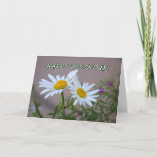 Daisy Duo Birthday Card - blank inside
