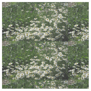 daisy fabric