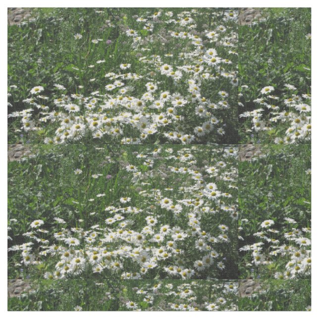 daisy fabric (Close Up)