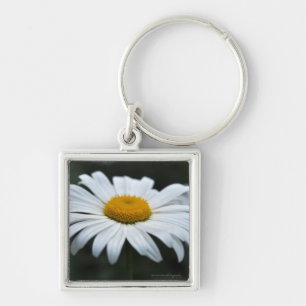 Daisy - Face Up Key Ring