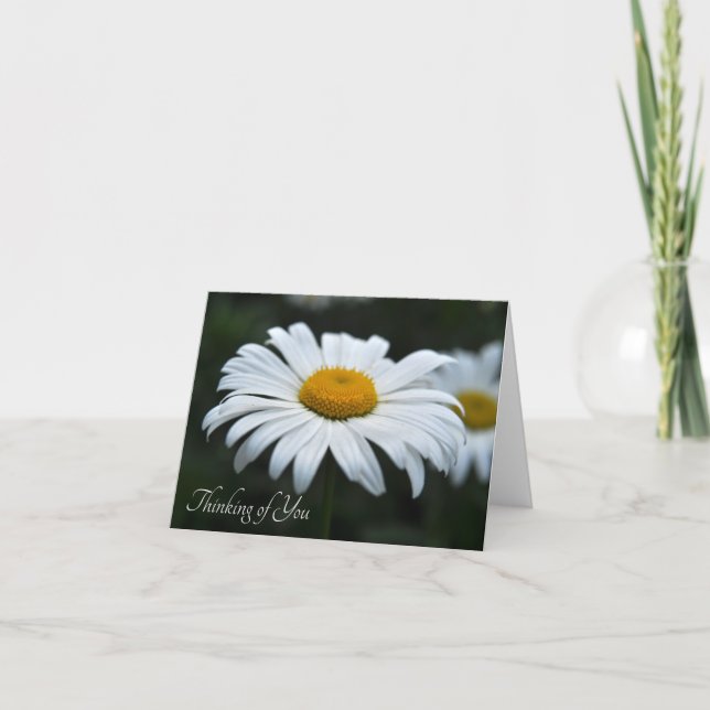 Daisy - Face Up Note Card (Front)