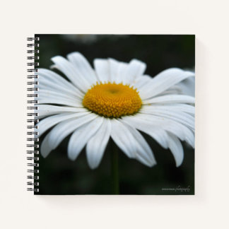 Daisy - Face Up Notebook
