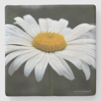 Daisy - Face Up Stone Coaster