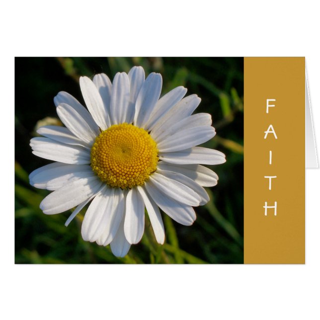 DAISY FAITH card (Front Horizontal)