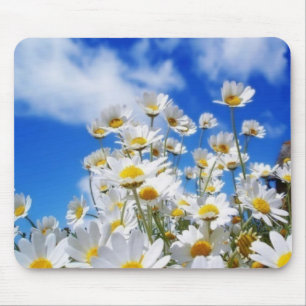Daisy Field Mouse Pad