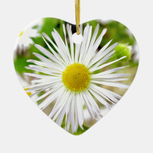 Daisy Fleabane Ceramic Tree Decoration (Front)