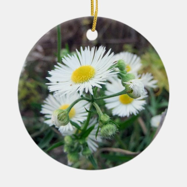 Daisy Fleabane Round 2-Sided Photo Ornament (Front)