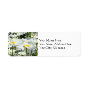 Daisy Floral Address Labels custom Daisies