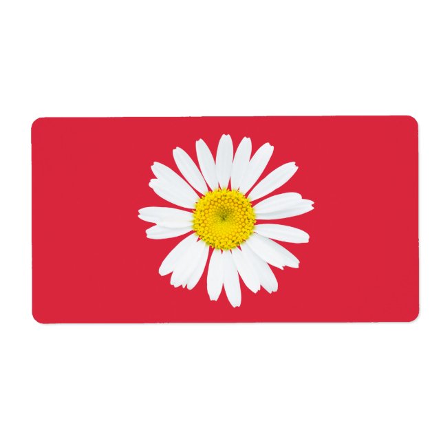 Daisy flower (Front)