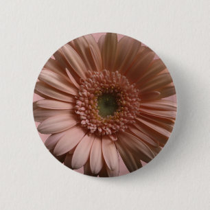 Daisy Flower 6 Cm Round Badge