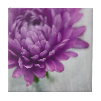 Daisy Flower ceramic tile in Purple and gray