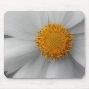 Daisy Flower Close Up Black White Mousepad