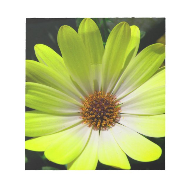 Daisy Flower Fluorescent Yellow Notepad (Front)