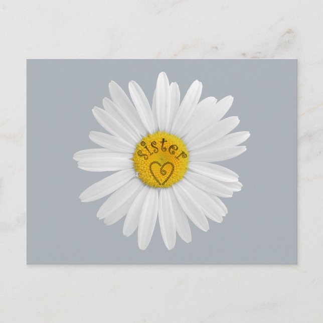 Daisy Flower For Sister Art Customise Background Postcard (Front)