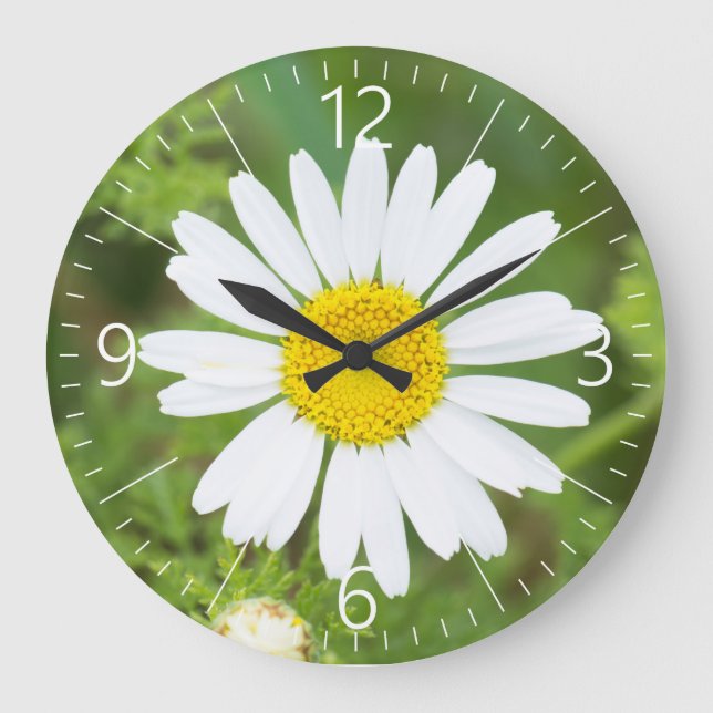 Daisy flower large clock (Front)