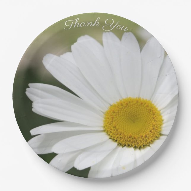 Daisy Flower Large Paper Plate (Front)