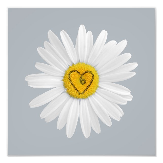 Daisy Flower Love Art Customise Background Photo Print (Front)