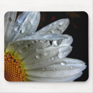 Daisy Flower Macro Mouse Pad