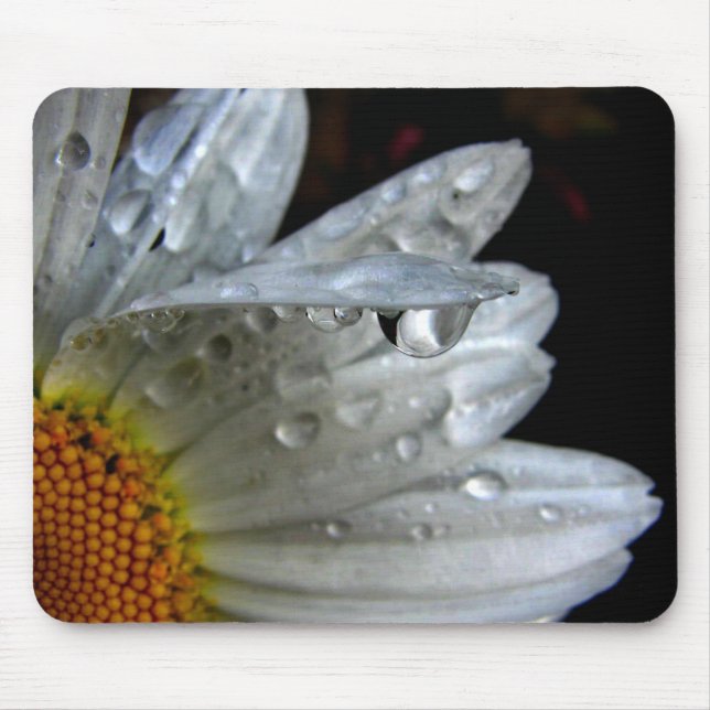 Daisy Flower Macro Mouse Pad (Front)