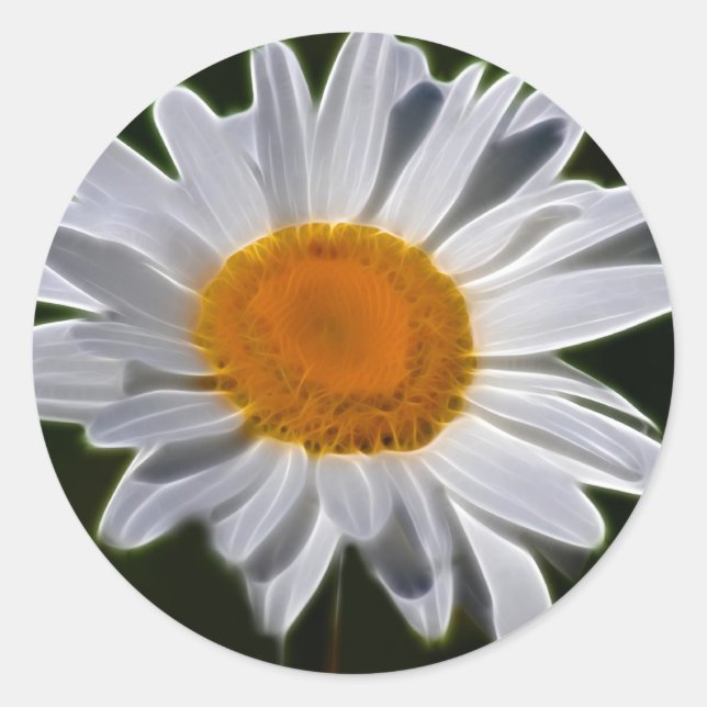Daisy flower power classic round sticker (Front)