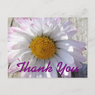 Daisy Flower Thank You Postcard