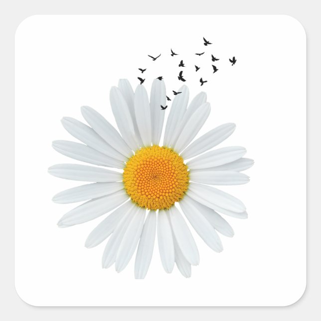 Daisy Flower with Flock of Birds Square Sticker (Front)