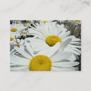 Daisy Flowers Appointment Cards Daisies