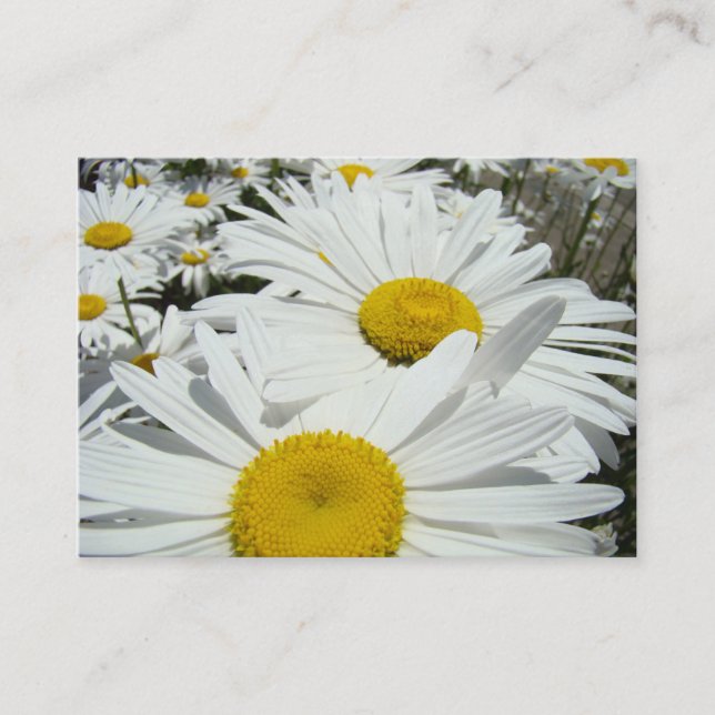 Daisy Flowers Appointment Cards Daisies (Front)