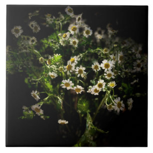 Daisy,  Flowers Ceramic Tile