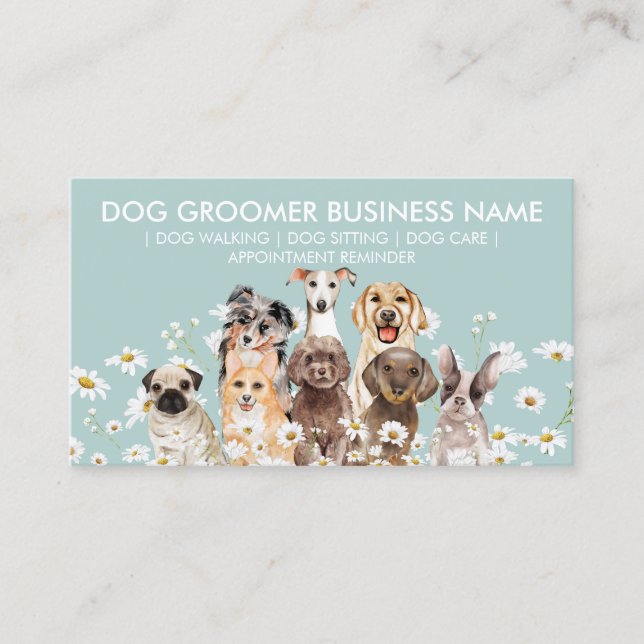 Daisy Flowers Dog Groom Sitter Walker Appointment Business Card (Front)