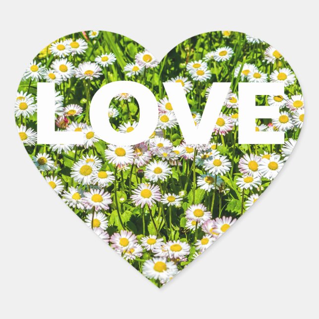 Daisy flowers heart sticker (Front)