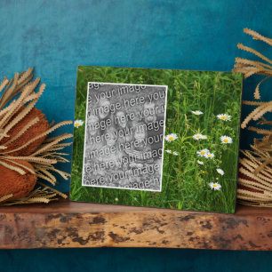 Daisy Flowers In Field Add Your Own Photo Plaque