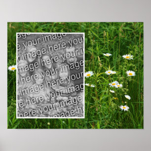 Daisy Flowers In Field Add Your Photo Poster